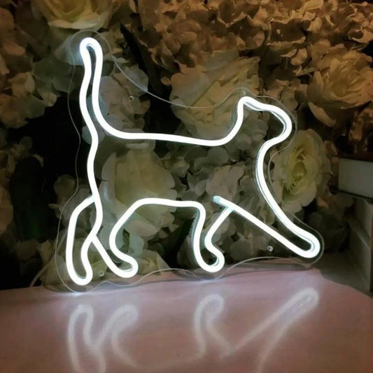 Kedi Neon Led